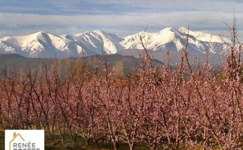 Vila Lili Céret Exteriér fotografie